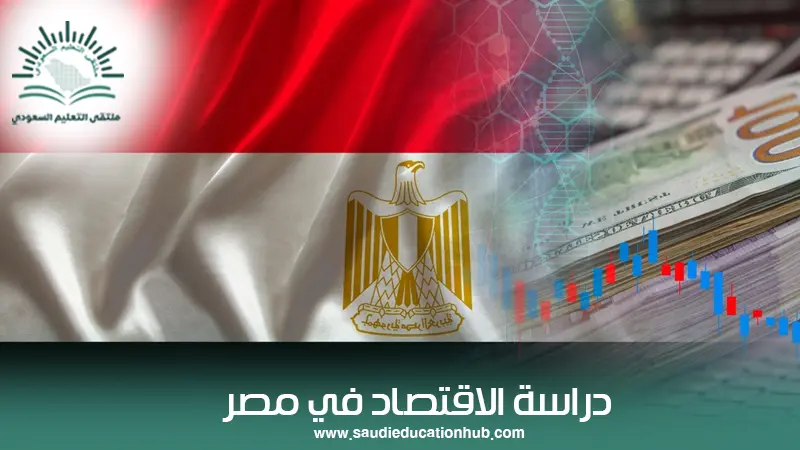 دراسة الاقتصاد في مصر