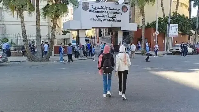 دراسة الطب في جامعة الاسكندرية