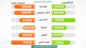 تكاليف الدراسة في جامعة عين شمس للسعوديين