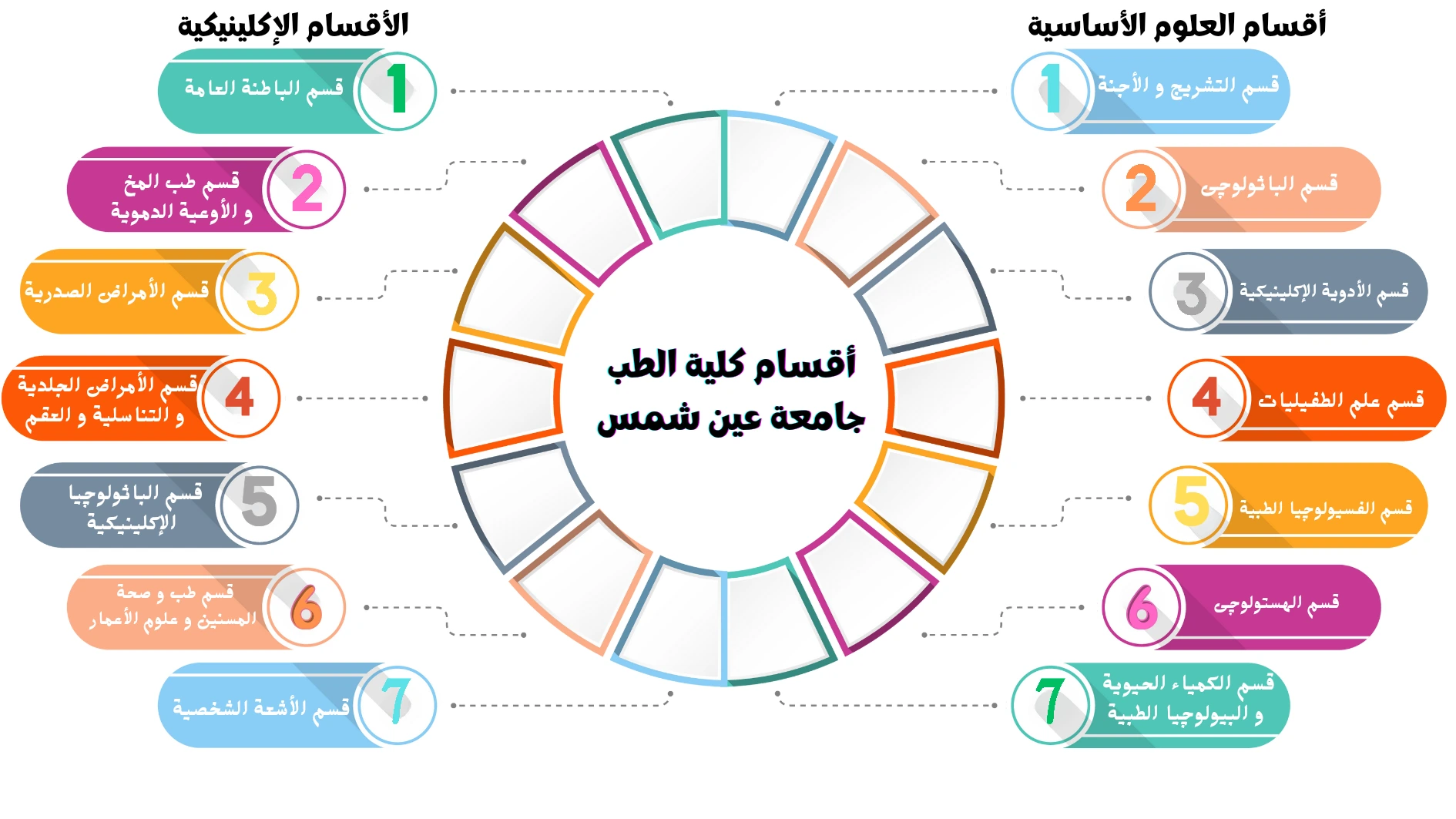 أقسام كلية الطب جامعة عين شمس