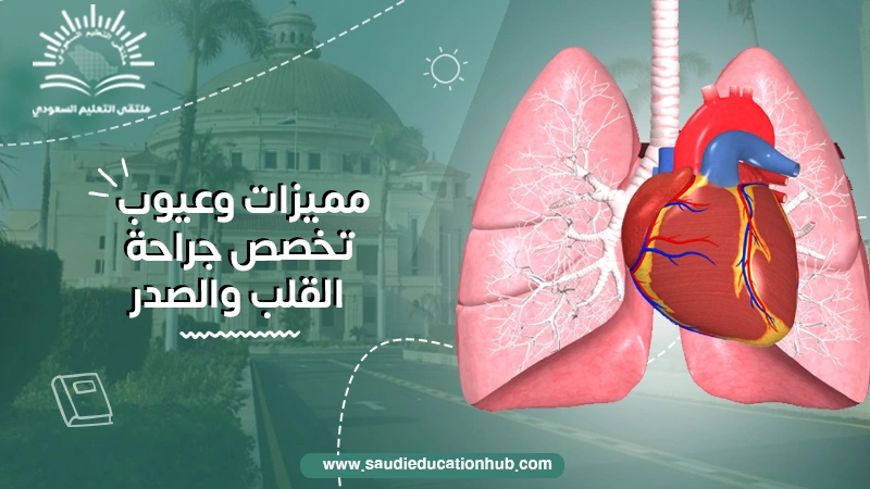 مميزات وعيوب تخصص جراحة القلب والصدر