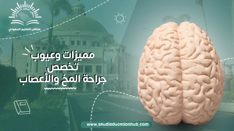 مميزات وعيوب تخصص جراحة المخ والأعصاب