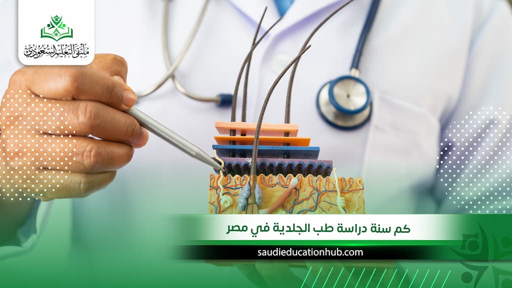 كم سنة دراسة طب الجلدية في مصر