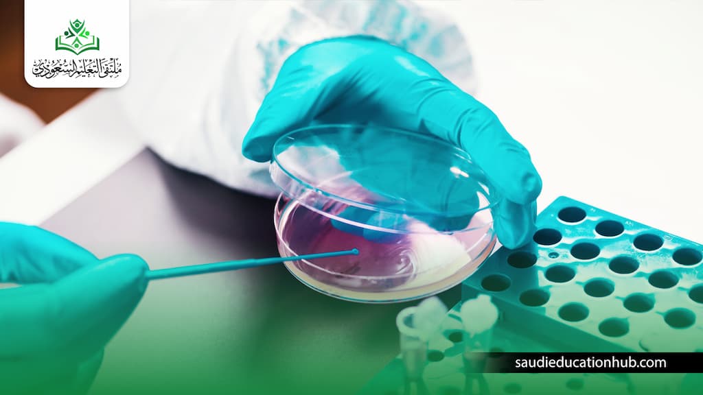 ماجستير ميكروبيولوجي في مصر 