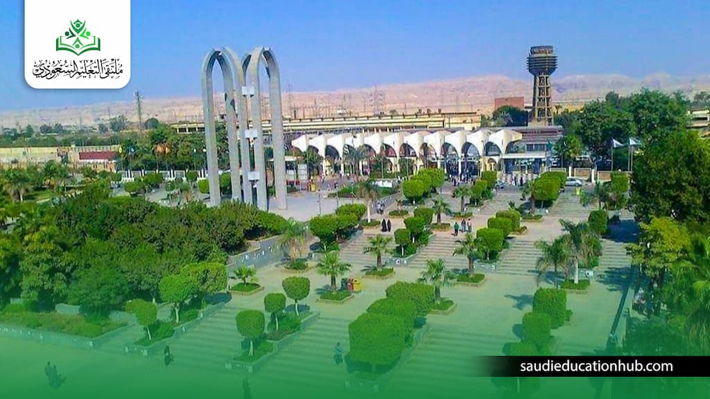 تكلفة ماجستير إدارة الأعمال جامعة حلوان
