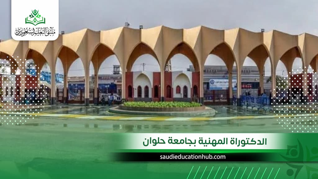 الدكتوراة المهنية بجامعة حلوان