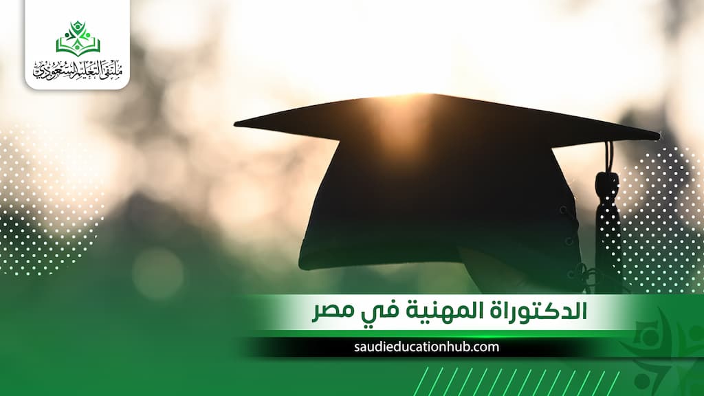 الدكتوراة المهنية في مصر