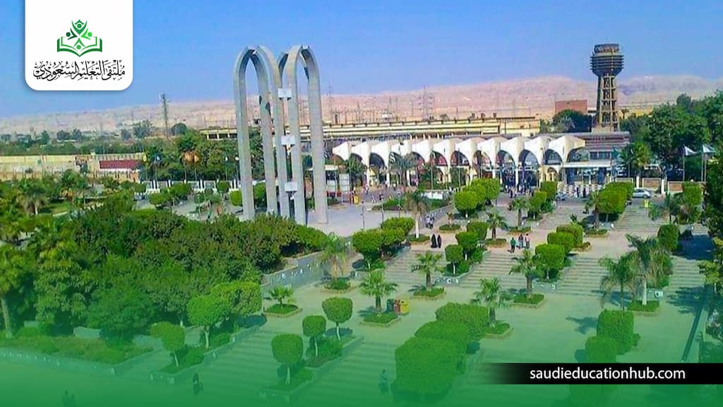 مصاريف الدراسات العليا جامعة حلوان كلية تجارة
