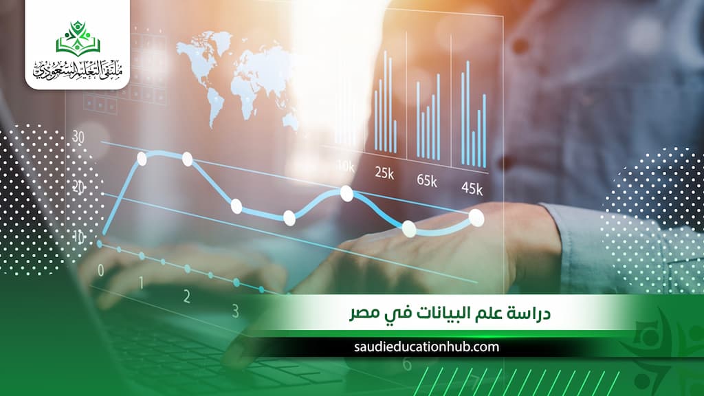 دراسة علم البيانات في مصر