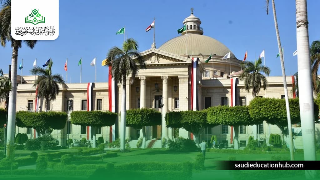 الدكتوراة المهنية بجامعة القاهرة الدكتوراة المهنية بجامعة القاهرة