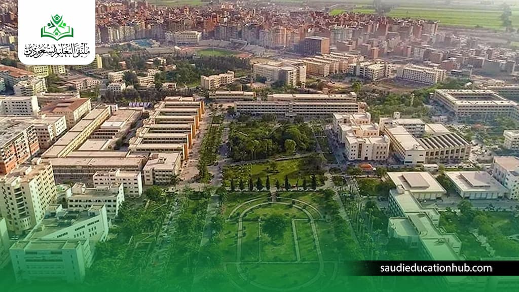 الدراسات العليا جامعة المنصورة كلية الهندسة الدراسات العليا جامعة المنصورة كلية الهندسة