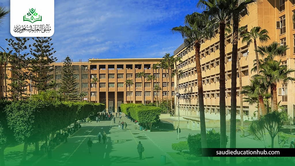 الدكتوراة المهنية في إدارة الأعمال جامعة الإسكندرية