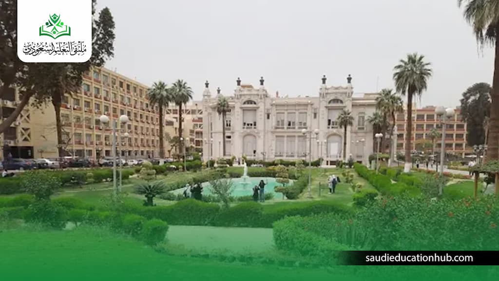 جامعة عين شمس ماجستير عن بعد