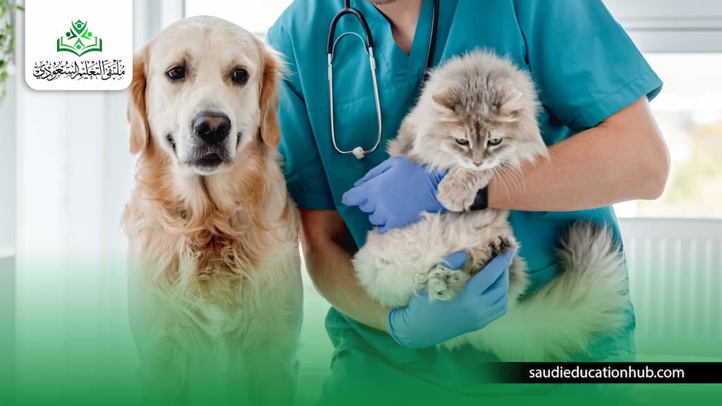 عدد سنوات دراسة الطب البيطري في مصر عدد سنوات دراسة الطب البيطري في مصر