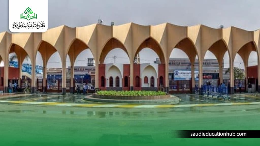 معادلة الماجستير المهني بالاكاديمي جامعة حلوان