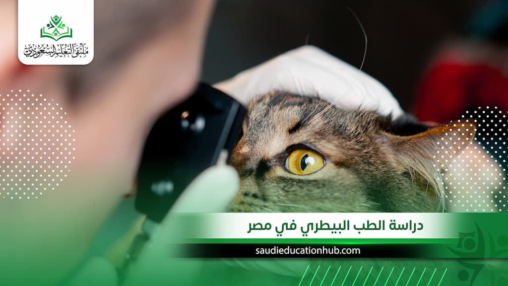 دراسة الطب البيطري في مصر