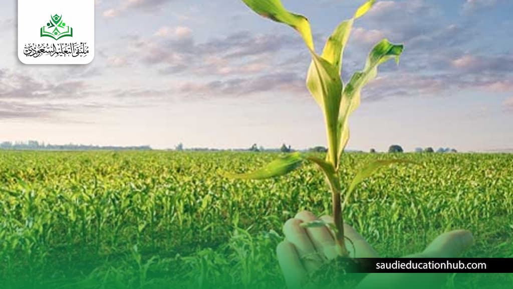 بكالوريوس زراعة عن بعد