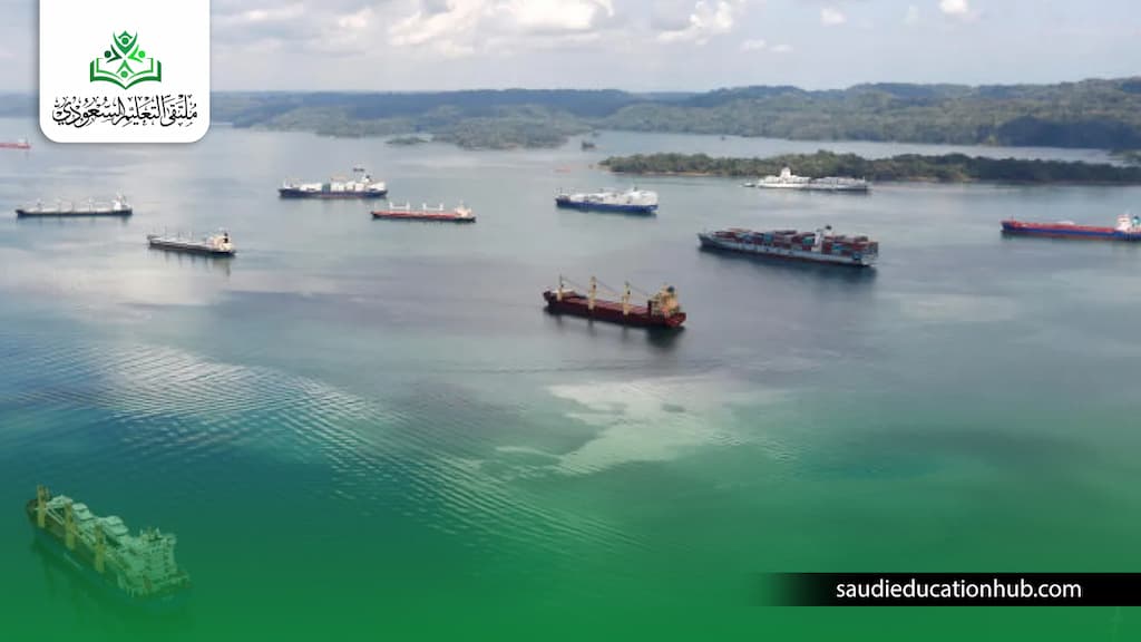 تكلفة دراسة الملاحة البحرية في مصر