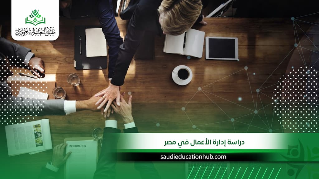 دراسة إدارة الأعمال في مصر لعام 2026