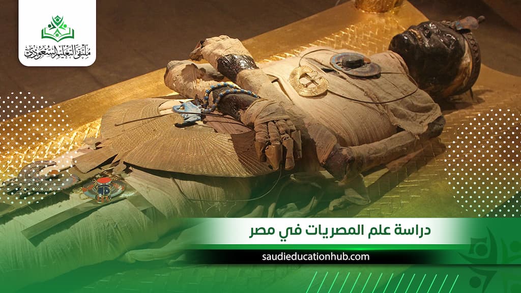 دراسة علم المصريات في مصر 