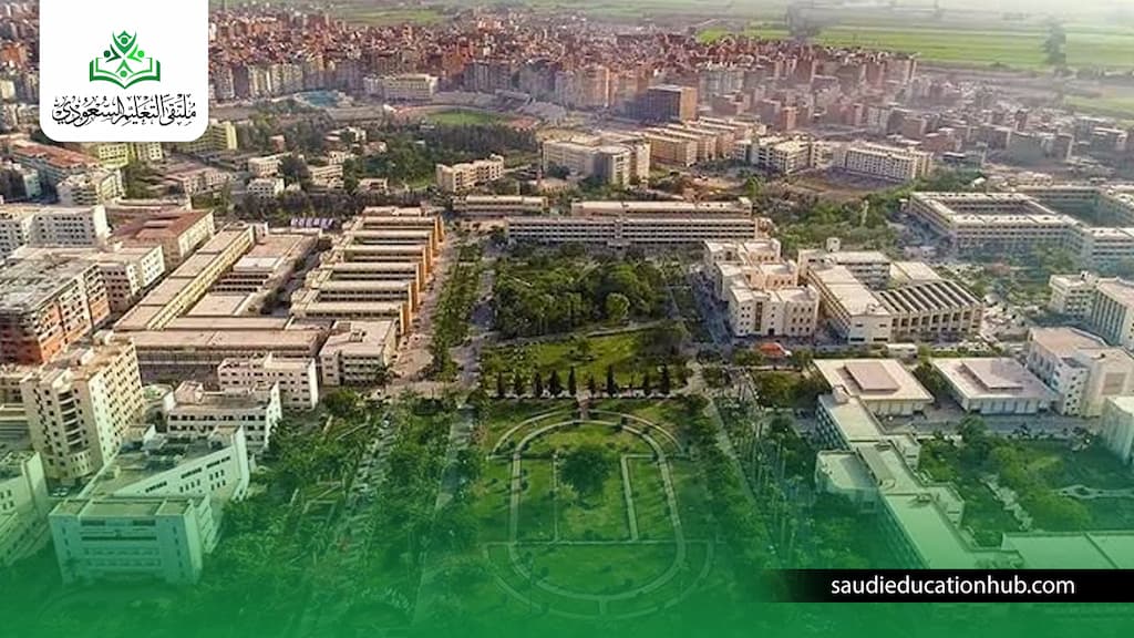 مصاريف صيدلة كلينيكال جامعة المنصورة الحكومية الرسمية 2027 مصاريف صيدلة كلينيكال جامعة المنصورة الحكومية