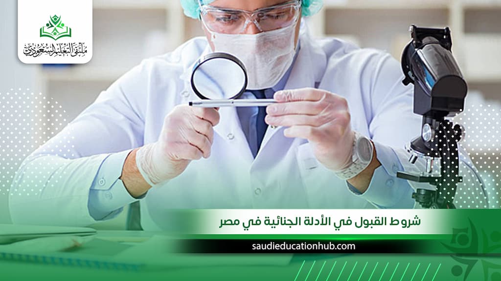 شروط القبول في الأدلة الجنائية في مصر: هل أنت مؤهل؟