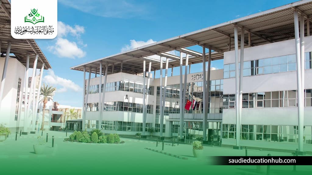 تخصصات الجامعة الصينية في مصر
