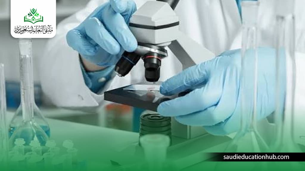 دراسة الدكتوراه البحثية في مصر للسعوديين والوافدين دراسة الدكتوراه البحثية في مصر