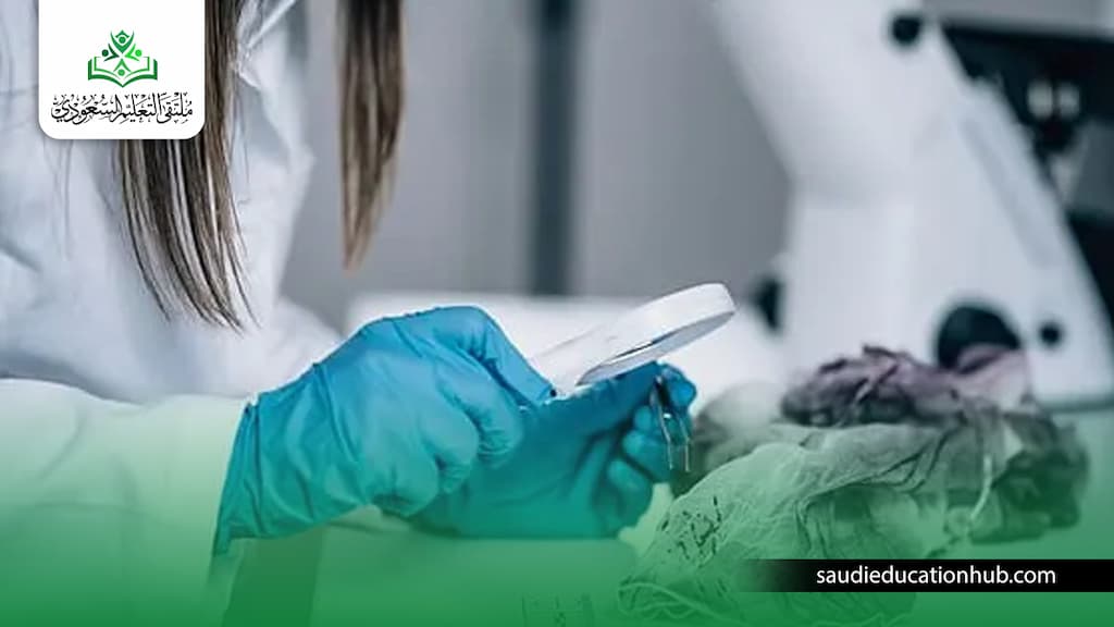 دراسة ماجستير العلوم الجنائية في مصر ماجستير العلوم الجنائية