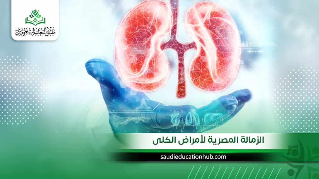الزمالة المصرية لأمراض الكلى للوافدين والسعوديين 2027