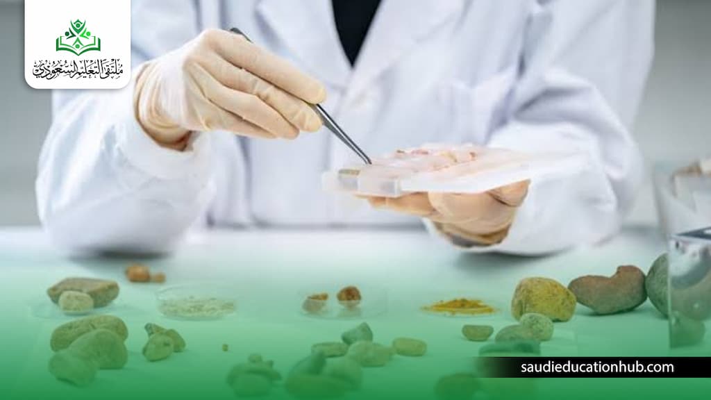 ماجستير جيولوجيا في مصر ماجستير جيولوجيا في مصر